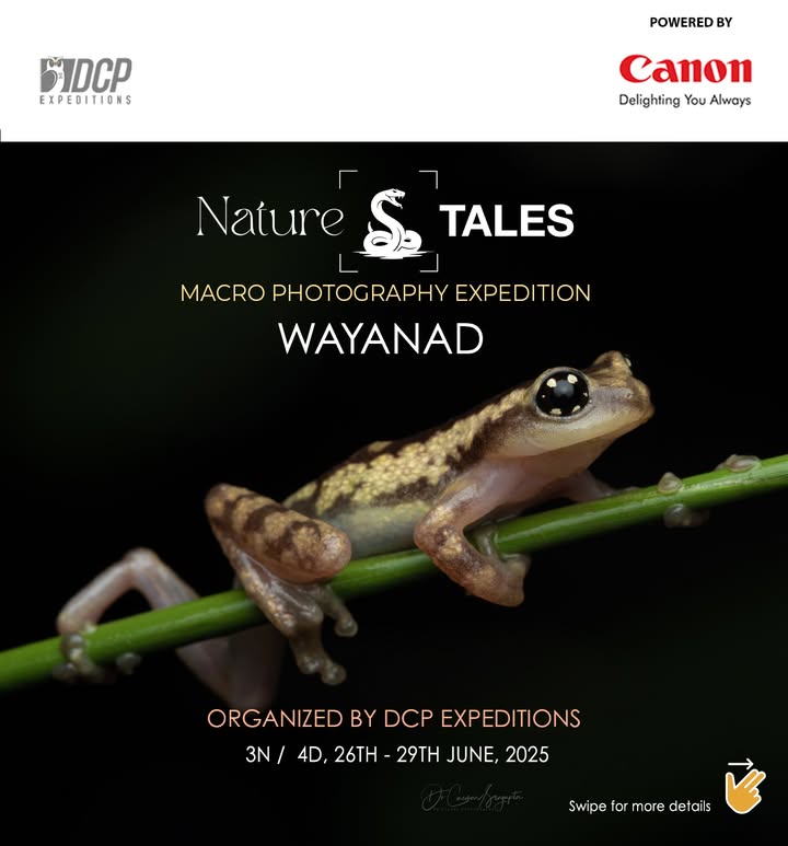 Embark on a unique macro photography expedition with Nature Tales, guided by Canon EOS Maestro Dr. Caesar Sengupta. Discover the lush landscapes of Wayanad an ecological treasure in the Western Ghats that comes alive during the monsoon Embark on a unique macro photography expedition with Nature Tales, guided by Canon EOS Maestro Dr. Caesar Sengupta