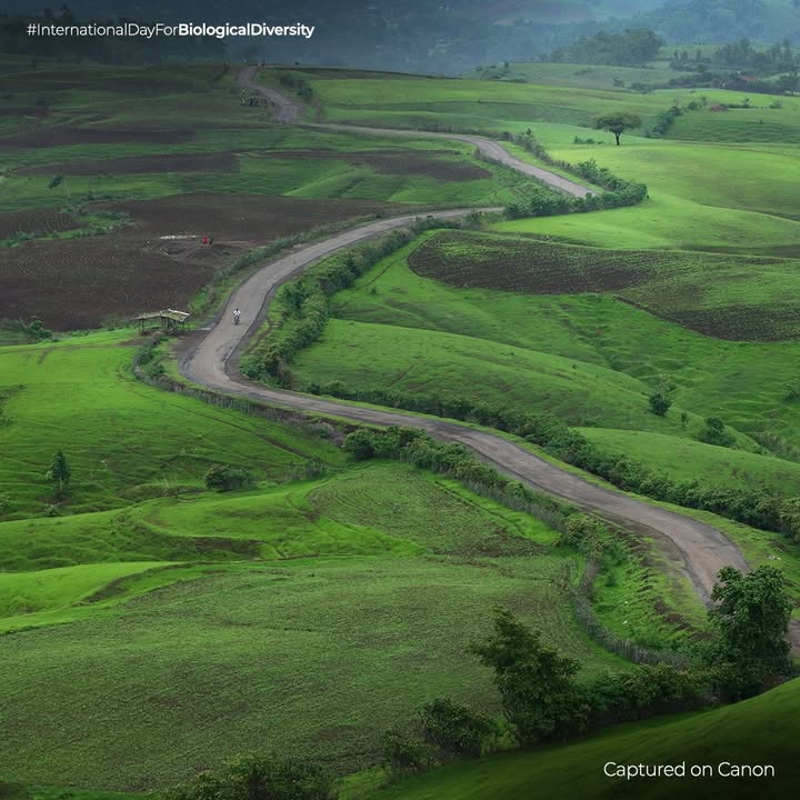 Every species matters. Every ecosystem counts. On this International Day for Biological Diversity, lets pledge to protect the rich tapestry of life that sustains our planet Every species matters. Every ecosystem counts