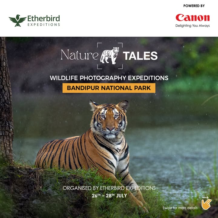 Join Canon EOS Influencer Ramachandiran Govindaraj on a photography expedition to Bandipur National Park. Be a part of Nature Tales and get an opportunity to test Canon s latest cameras and lenses in the field Join Canon EOS Influencer Ramachandiran Govindaraj on a photography expedition to Bandipur National Park