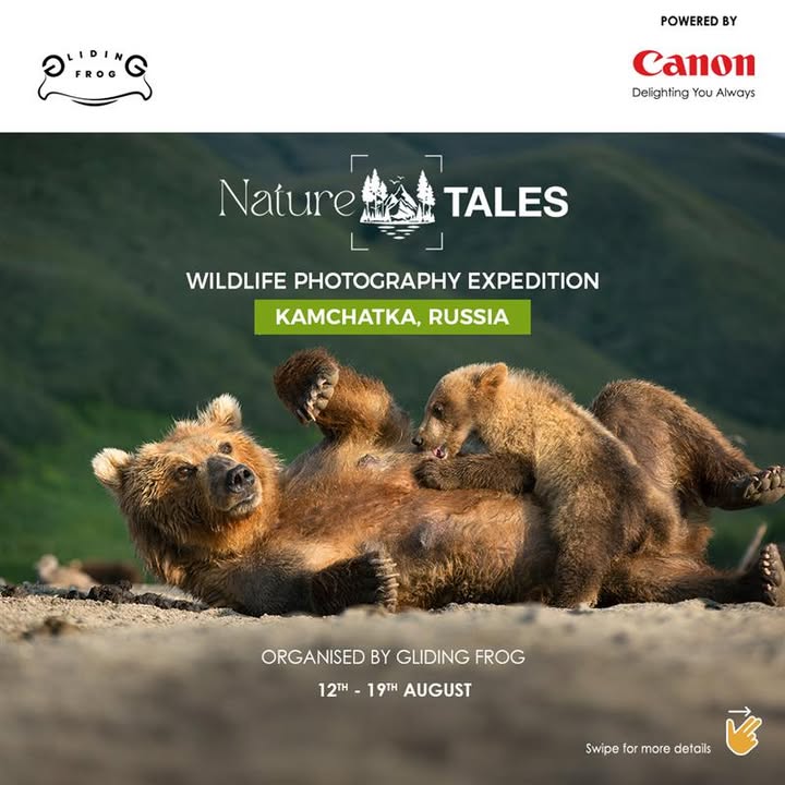 Join Nature Tales with Canon EOS Maestro Sachin Rai on an unforgettable expedition to photograph Kamchatka brown bears in one of the worlds most untouched wildernesses Join Nature Tales with Canon EOS Maestro Sachin Rai on an unforgettable expedition to photograph Kamchatka brown bears in on...