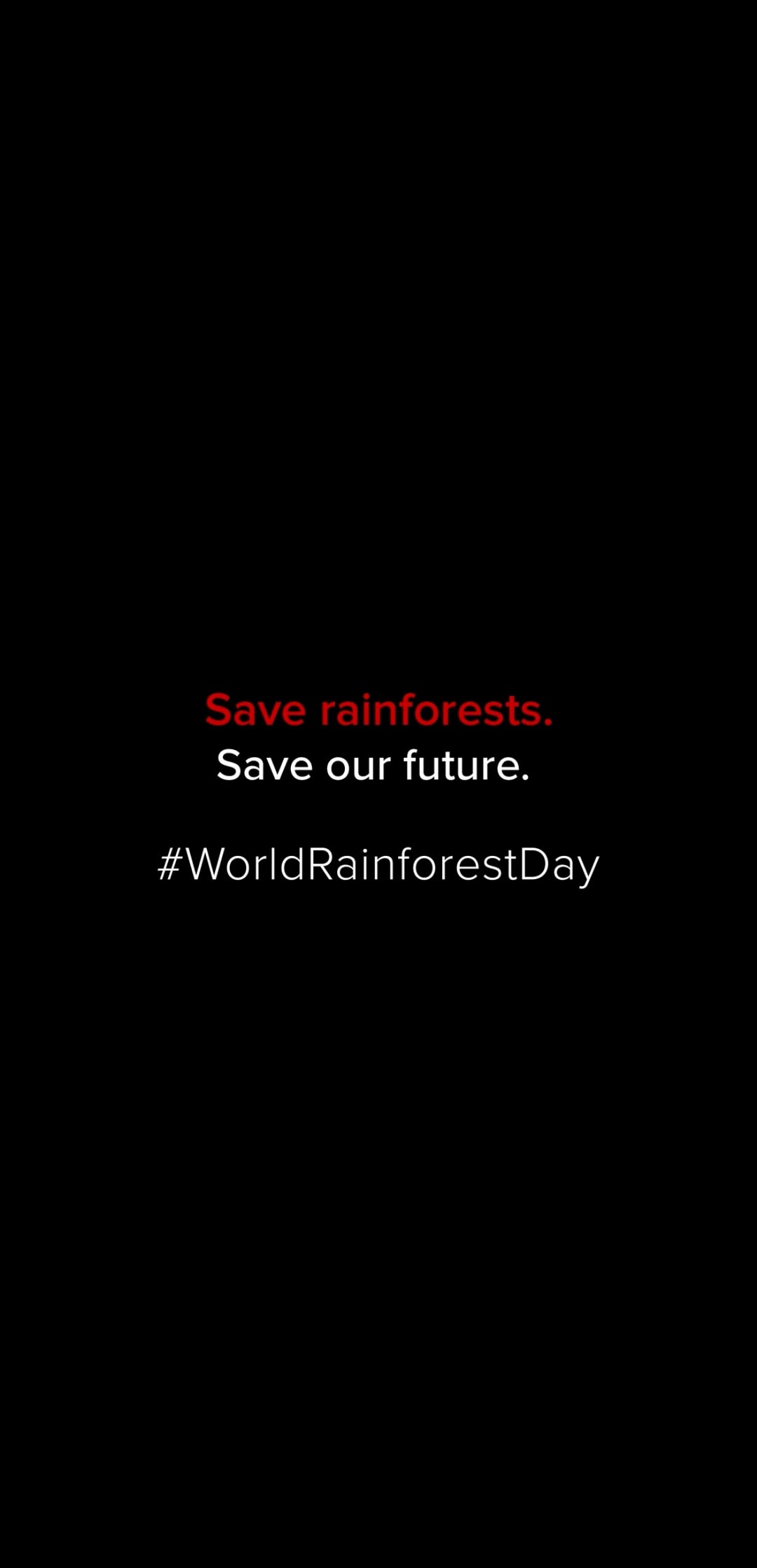 The rainforest isnt just a place, its a pulse, a breath, a force that sustains life