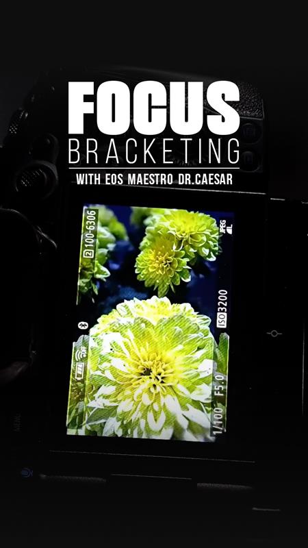 Ever wondered how to get tack sharp clarity from front to back in a single frame EOSMaestro Dr