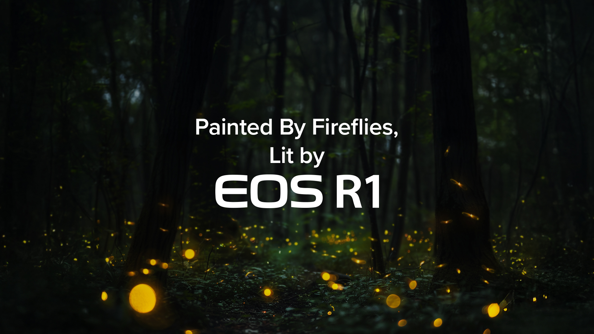  Painted with Fireflies. Lit by EOS R1