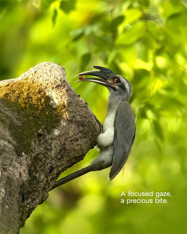 Start your week with a pop of colour and a hint of wilderness. Captured in a moment of pure instinct by Prashanth
