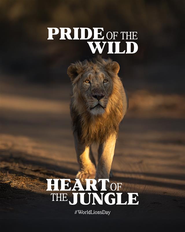 Kings without a crown, but never without pride