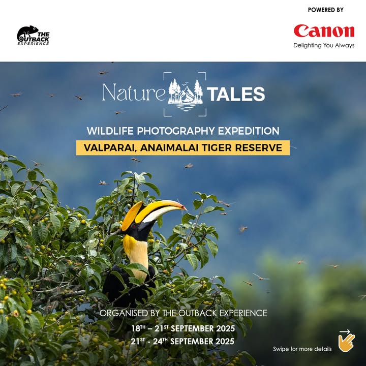 The Outback Experience presents Nature Tales, a unique photography expedition through the rainforests of the Anaimalais, pow...