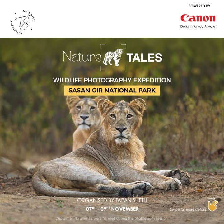 Embark on a thrilling wildlife photography adventure at Sasan Gir National Park with Canon EOS Maestro, Simran Gill and EOS ...