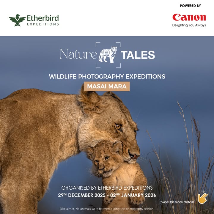Discover the magic of the Masai Mara with Canon EOS Influencer Ramachandiran Govindaraj, during a time when the landscape is...