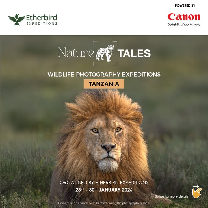 Its time for all wildlife photography enthusiasts to witness the breathtaking beauty of Tanzania through their lens