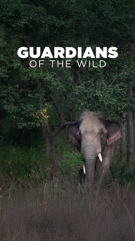Every step, a story. The gentle giant moves with patience and power. Framed through the Canon lens