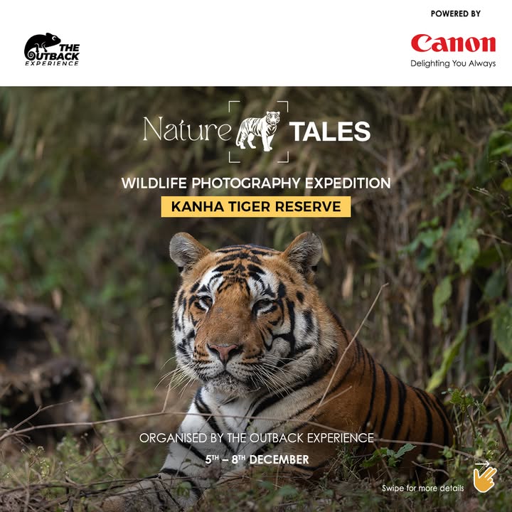 Embark on a thrilling wildlife photography adventure at Kanha Tiger Reserve with Canon EOS Maestro, Phillip Ross