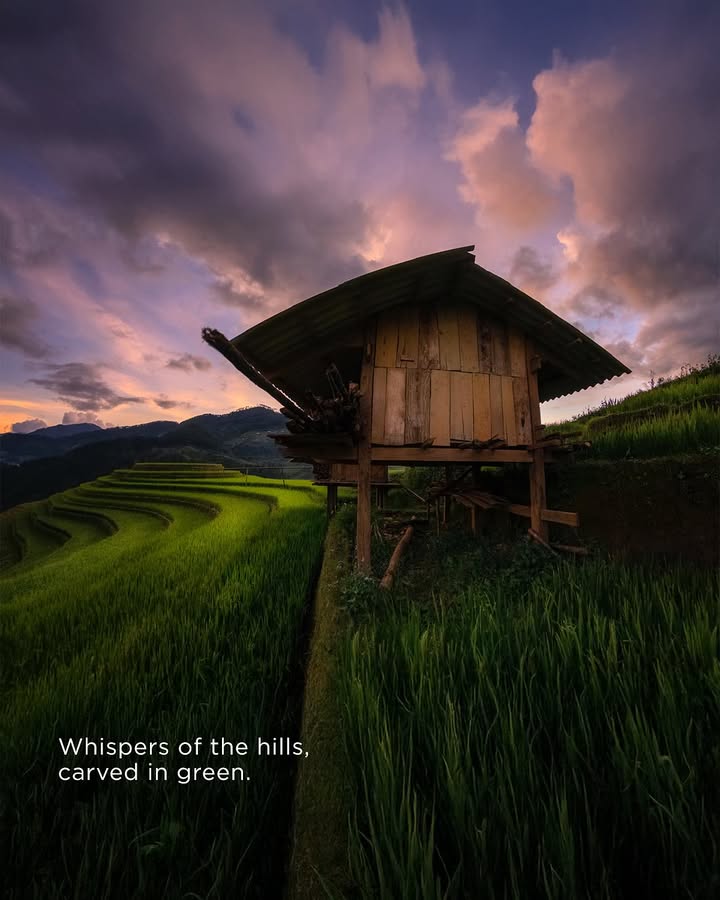 Step into the quiet that only nature can compose. Shot by EOSExplorer Samya Sengupta . . 