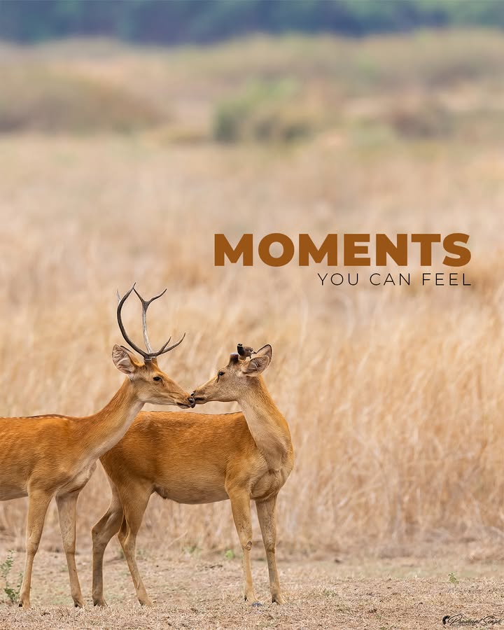 A frame that speaks without a sound captured beautifully through Canon