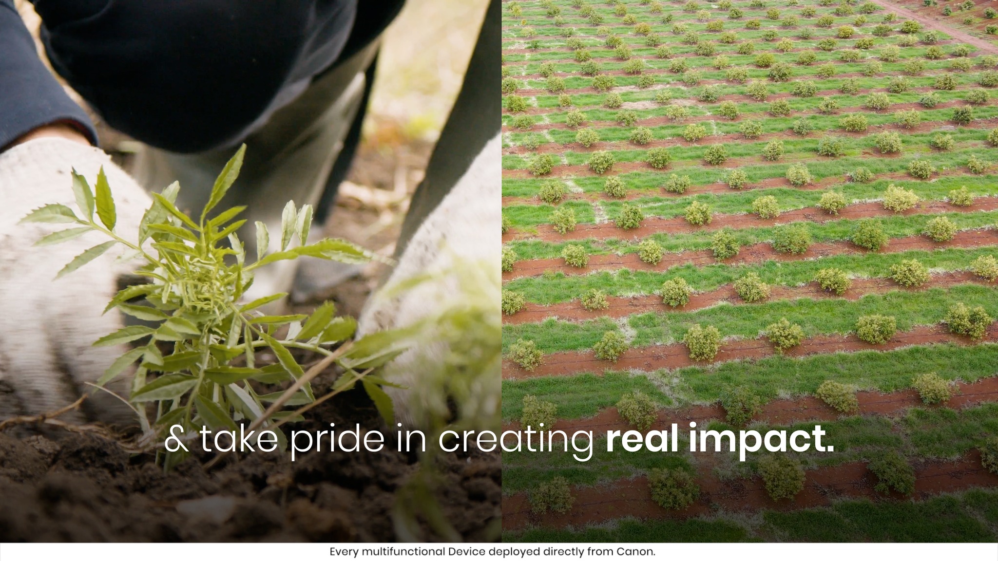 Behind every Canon MFD is a story of growth, planting success for farmers and building a greener tomorrow