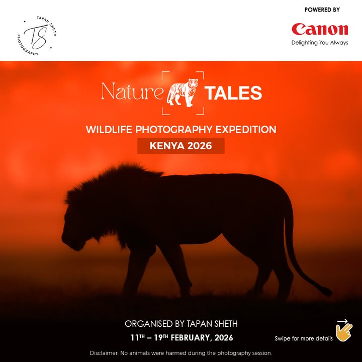Get a chance to capture stunning moments of lions, elephants, and other iconic animals set against the sweeping savannas and...