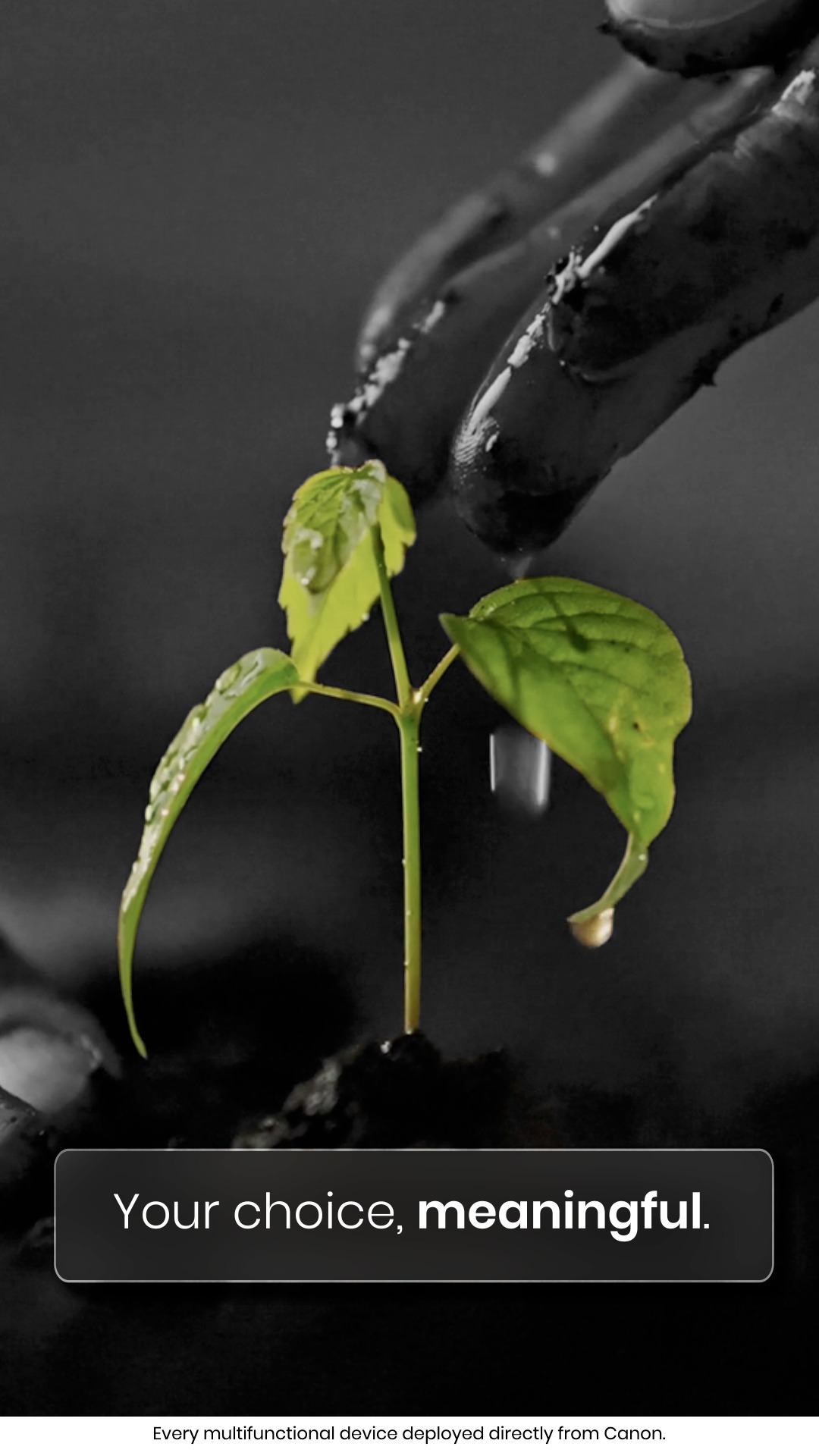 When your vision moves forward, every choice gains purpose. Choose a greener tomorrow with Canon