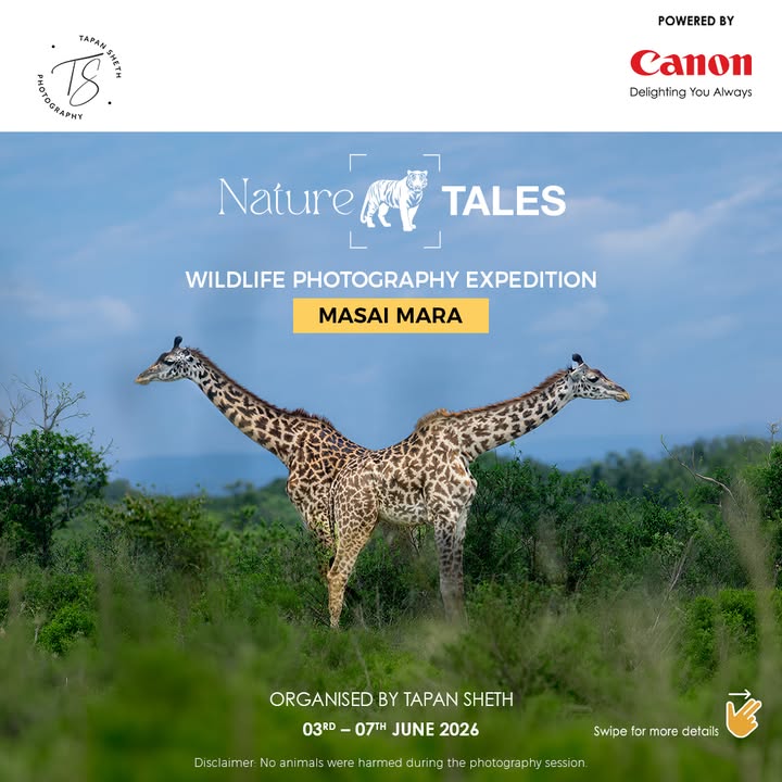 Experience the untamed beauty of Maasai Mara alongside EOS Explorer Tapan Sheth