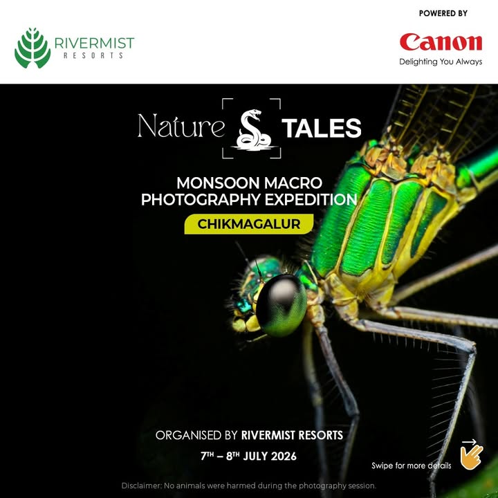 Step into the fascinating world of macro photography amidst the mist covered landscapes of Chikmagalur Karnataka