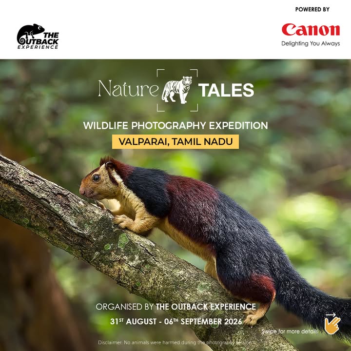The Anaimalais hills is easily the richest habitat and bio diversity in the Western Ghats, and we invite a maximum of 4 part...