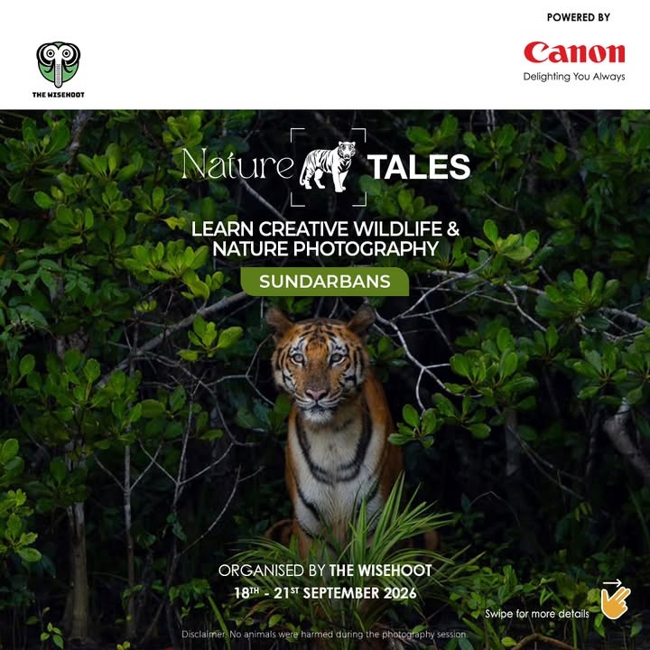 Join Nature Tales Sundarbans and elevate your wildlife nature photography skills with the Canon EOS R System under the men...