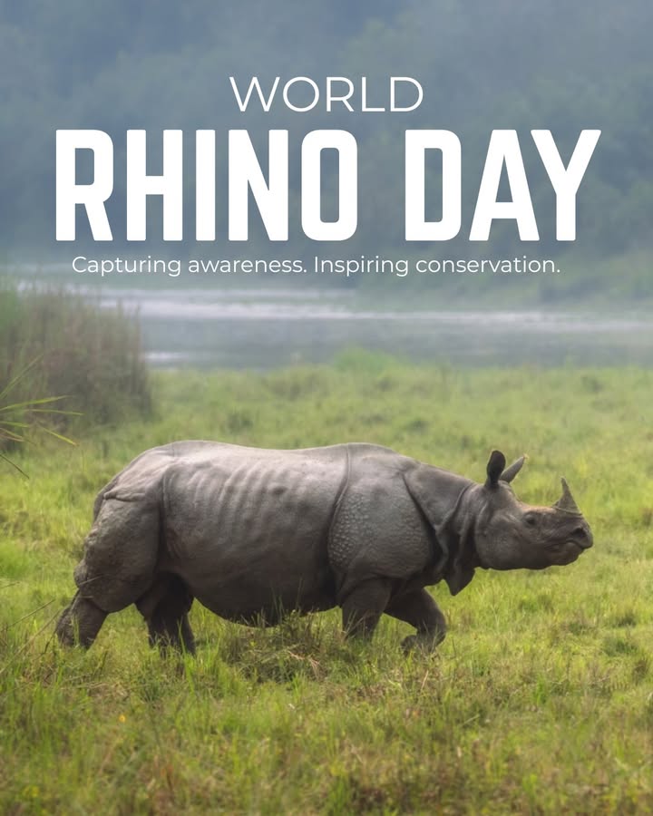 When we capture the wonders of the wild, we bring their stories closer to the world