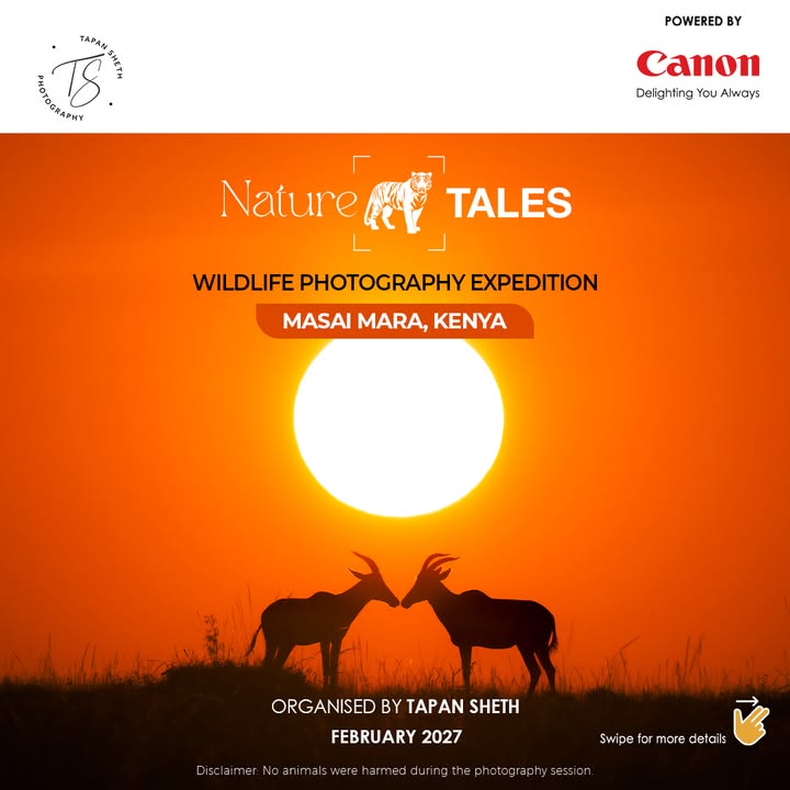 Join Nature Tales at Masai Mara and elevate your wildlife nature photography skills with the Canon EOS R System, under the...