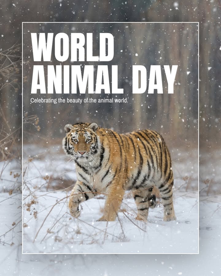 This World Animal Day, lets celebrate the incredible diversity of the animal world and the role each species plays in the na...