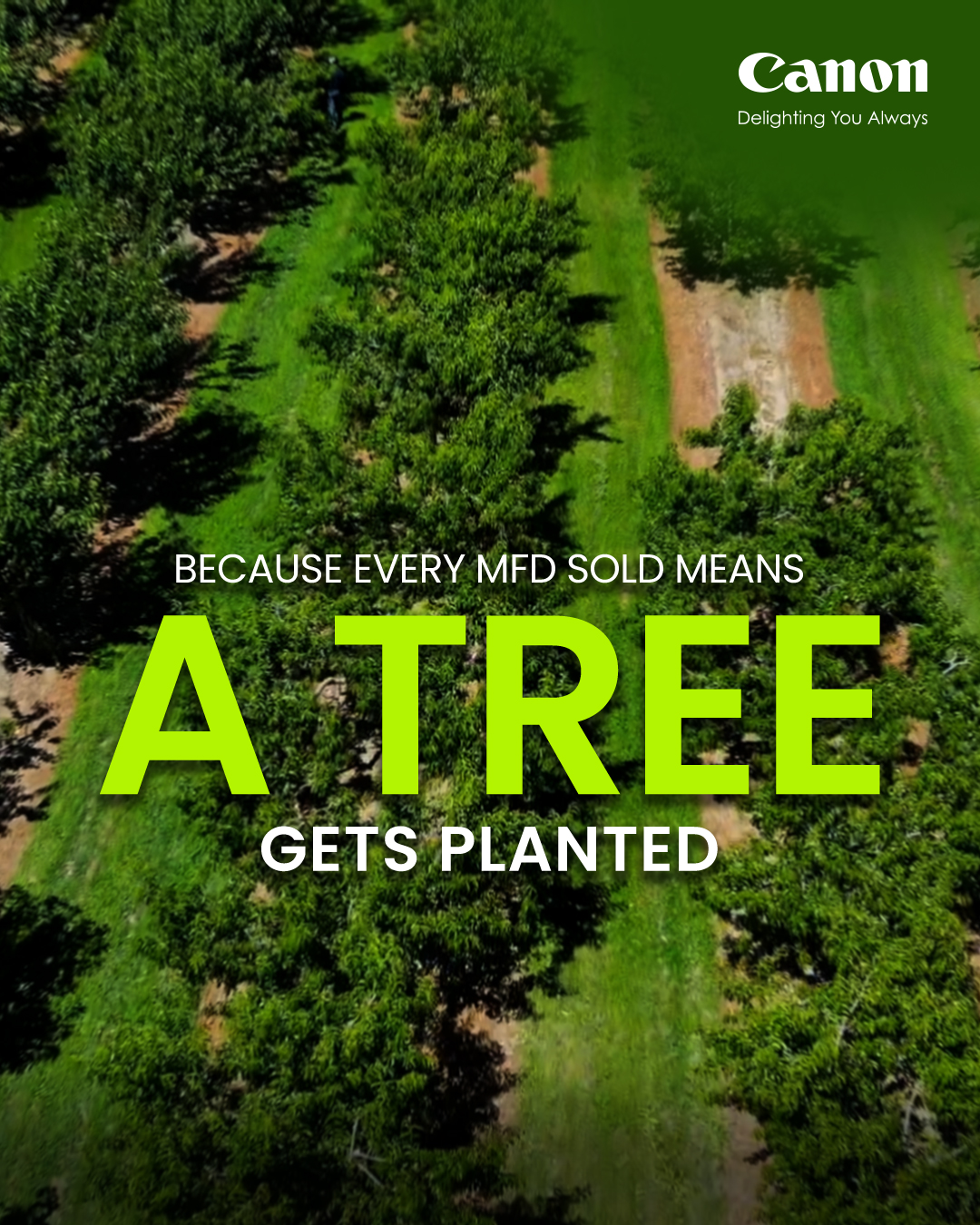 What began as a simple thought in July 2019 has grown into a movement of collective impact