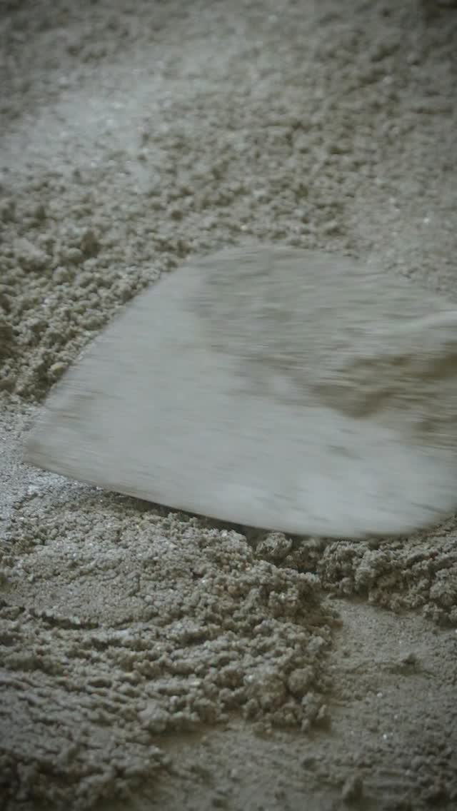 She doesnt just build floors. She builds futures. This Womens Day, we celebrate the women who shape our homes tile by tile