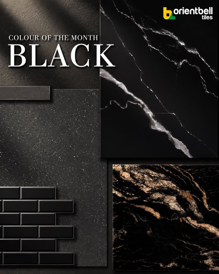 Bold in presence. Timeless in appeal. Discover tiles that bring effortless luxury to every space