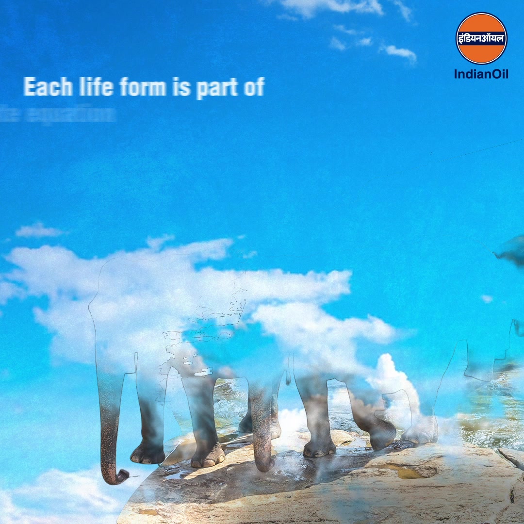  On InternationalDayForBioDiversity, we celebrate the vibrant ecosystems that enrich our lives, while also reaffirming ou...